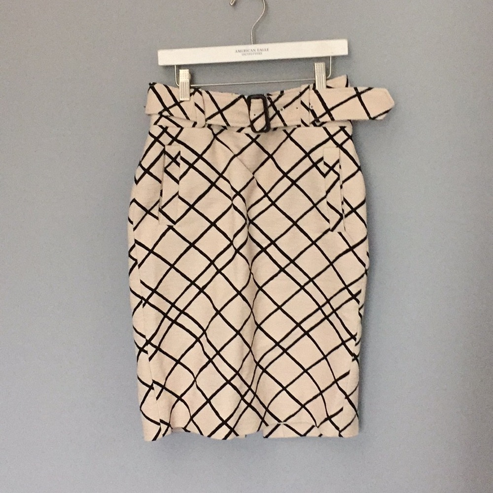 Banana Republic Pencil Skirt